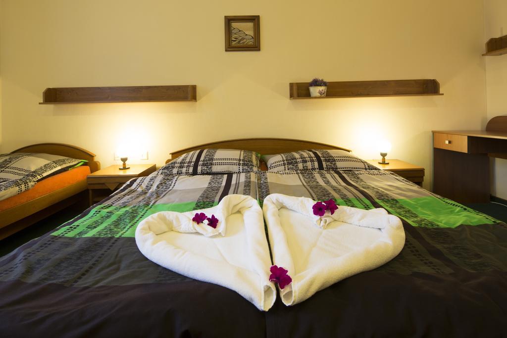 Pension & Restaurace Zeleny Mlyn Zacler Room photo