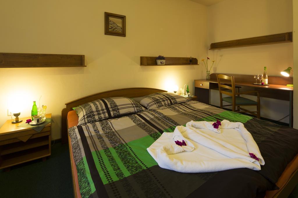 Pension & Restaurace Zeleny Mlyn Zacler Room photo