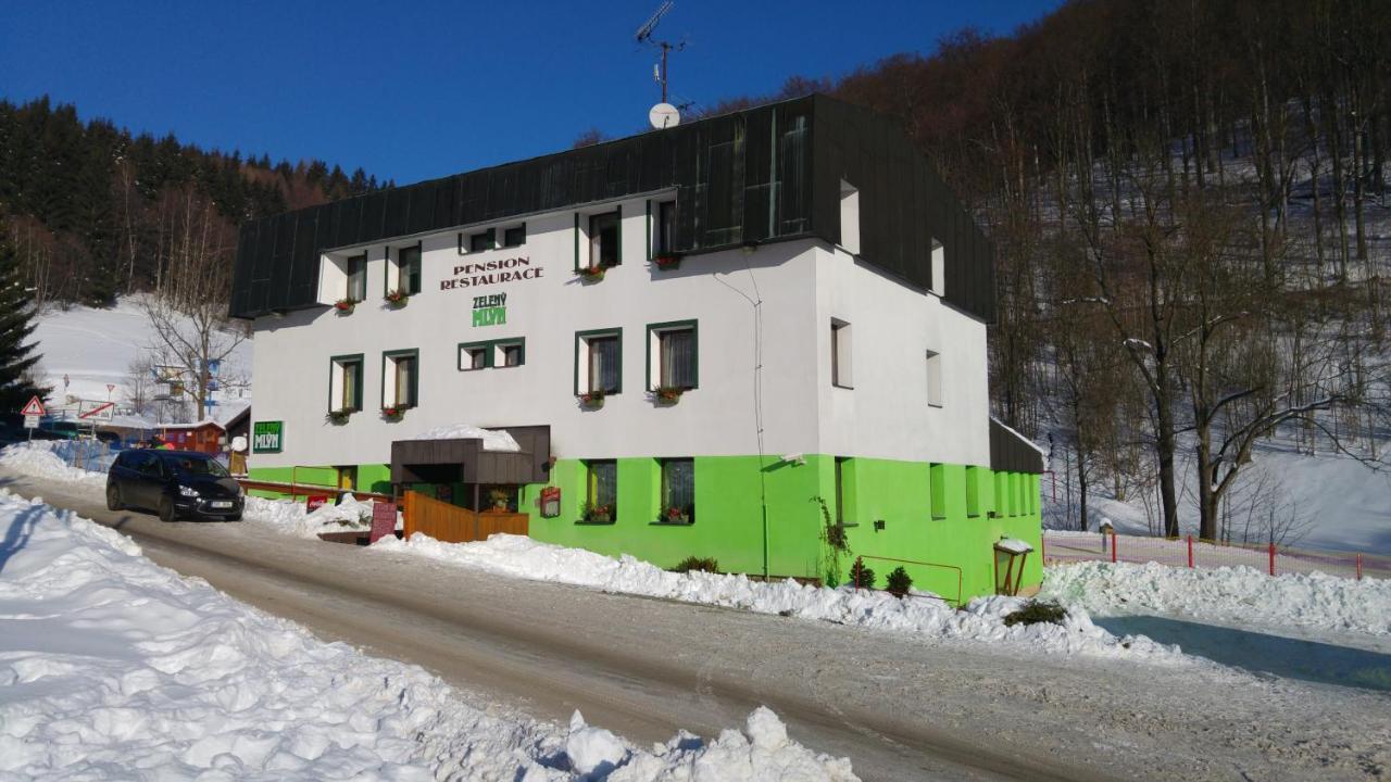 Pension & Restaurace Zeleny Mlyn Zacler Exterior photo